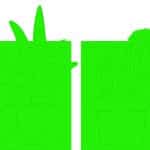 Macetas de Cactus - Vector descarganle para corte CNC y grabado laser gratis | Stanser