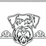 Schnauzer - Vector descarganle para corte CNC y grabado laser gratis | Stanser