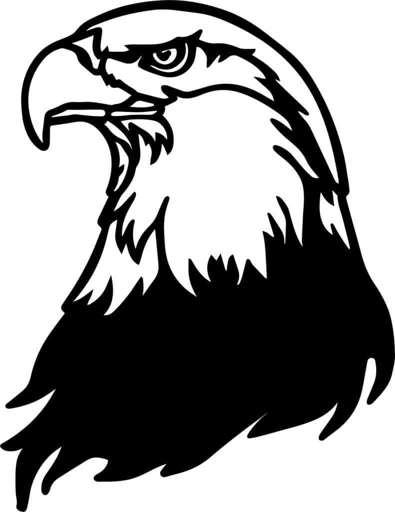 Cabeza de águila — vector para corte CNC