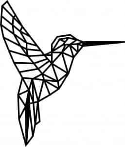 Colibrí al vuelo