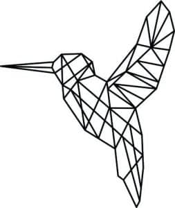 Perfil de colibrí