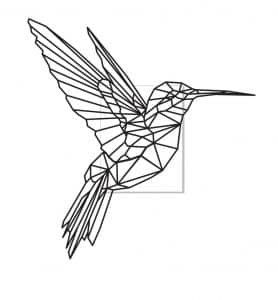 Perfil de colibrí 2