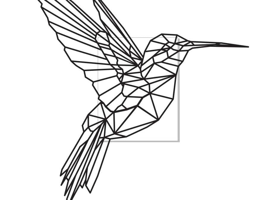 Perfil de colibrí 2
