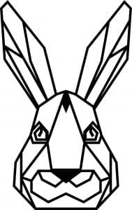 Cabeza de conejo