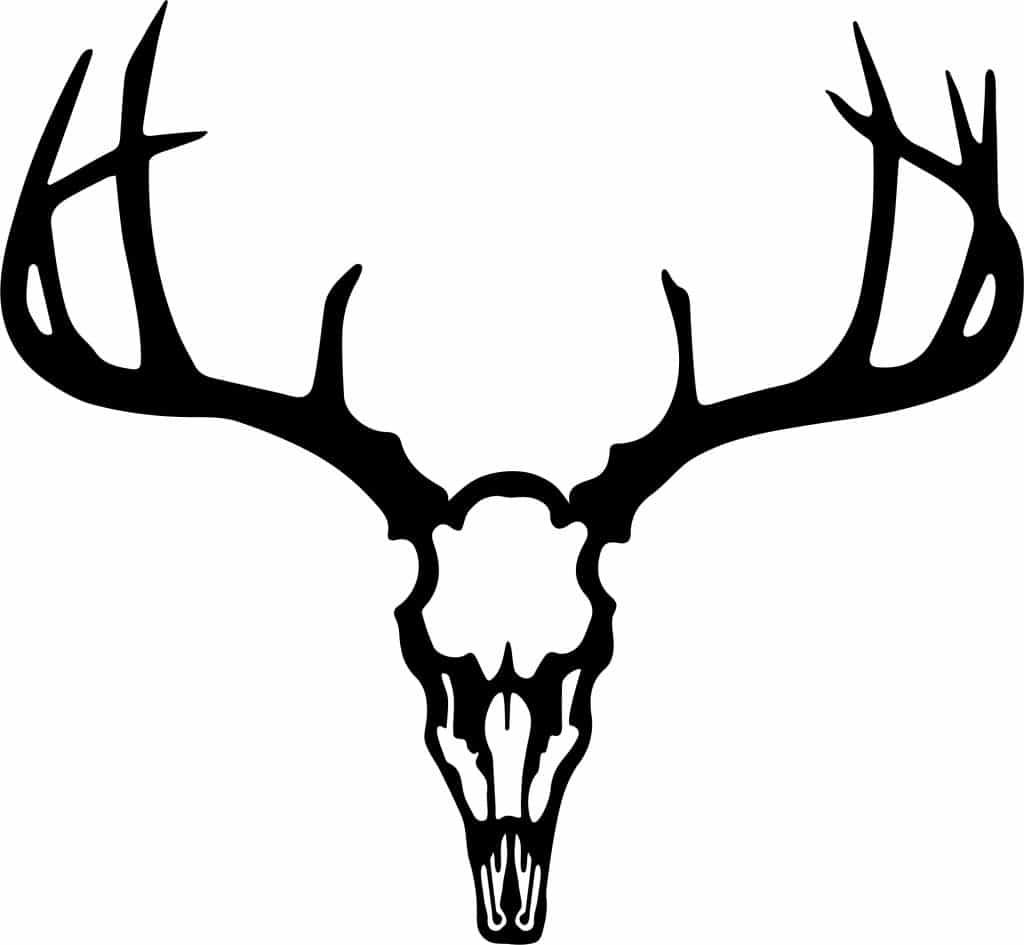 Cráneo de animal cornudo — vector para corte CNC