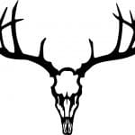 Cráneo de animal cornudo - Vector descarganle para corte CNC y grabado laser gratis | Stanser
