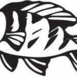 Pez - Vector descarganle para corte CNC y grabado laser gratis | Stanser