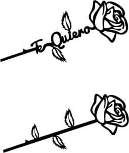 Rosas «Te quiero»