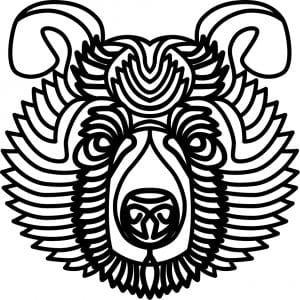 Oso de curvas