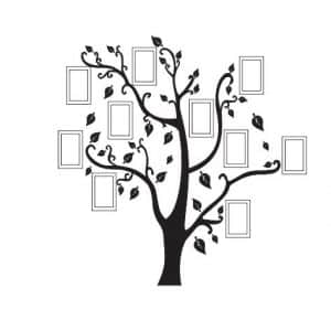 Árbol para fotos