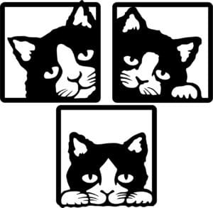 Cuadros «Gato»