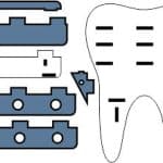 Portacepillos "Muela" - Vector SVG DXF para CNC Router y Laser CO2 - Descargable gratis | Stanser