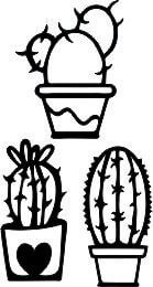Decoraciones de cactus