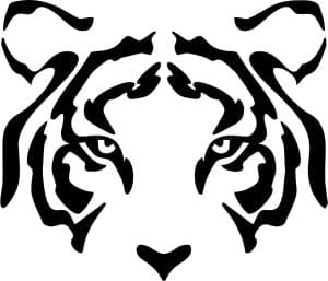 Rostro de tigre