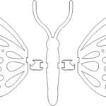 Te compartimos un vector descargable para reproducir una mariposa en formato 3D