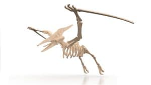 Rompecabezas 3D pterodáctilo