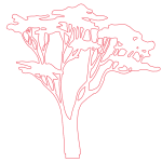 vector descargable para reproducir un árbol acacia de copa plana decorativo. Utiliza tu máquina de corte CNC para la realización de este proyecto.