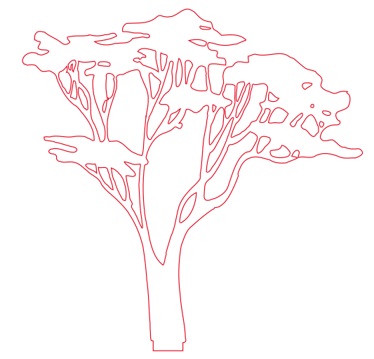 vector descargable para reproducir un árbol acacia de copa plana decorativo. Utiliza tu máquina de corte CNC para la realización de este proyecto.