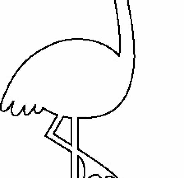 Silueta de flamingo