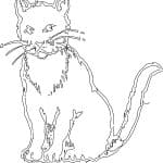 vector descargable para reproducir un gato negro. Utiliza tu máquina de corte CNC para la realización de este proyecto.