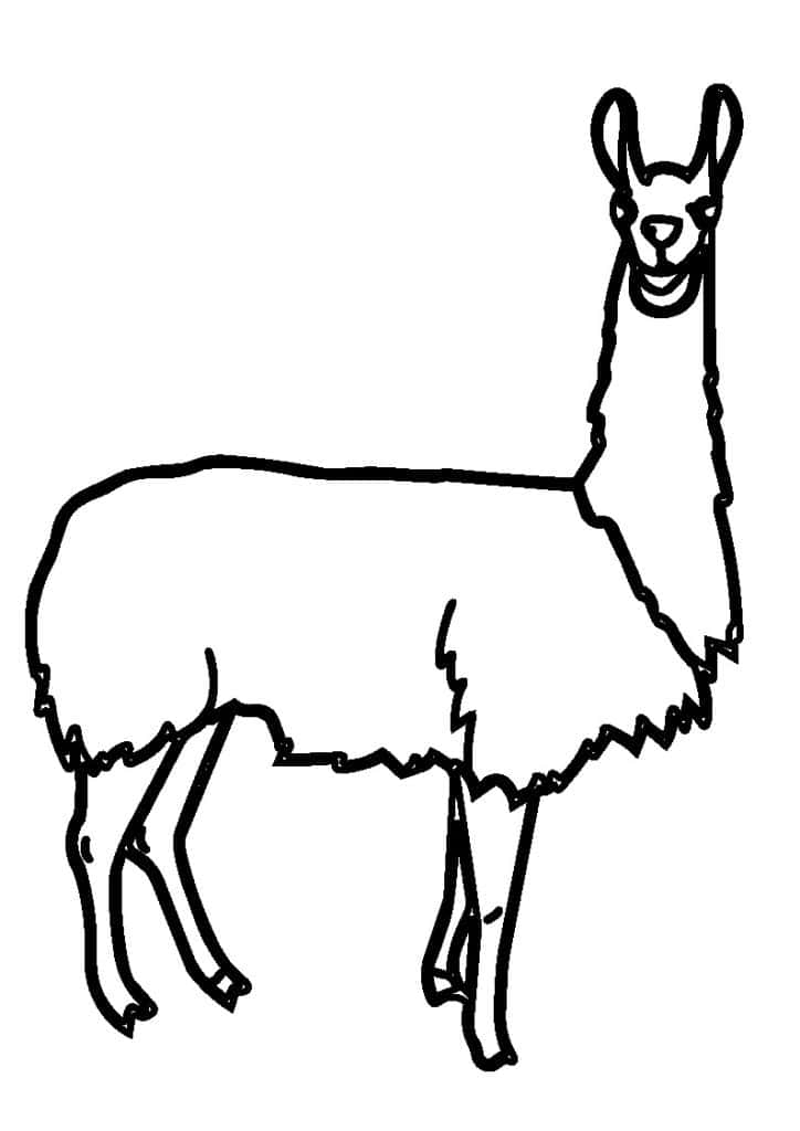 Llama — vector para corte CNC