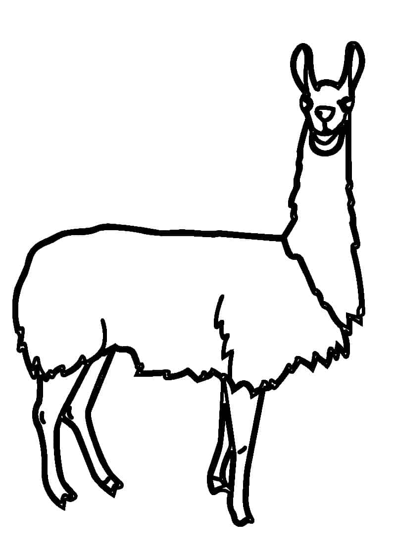 vector descargable para reproducir una llama. Utiliza tu máquina de corte CNC para la realización de este proyecto.