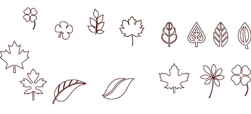 Set de hojas — vector para corte CNC