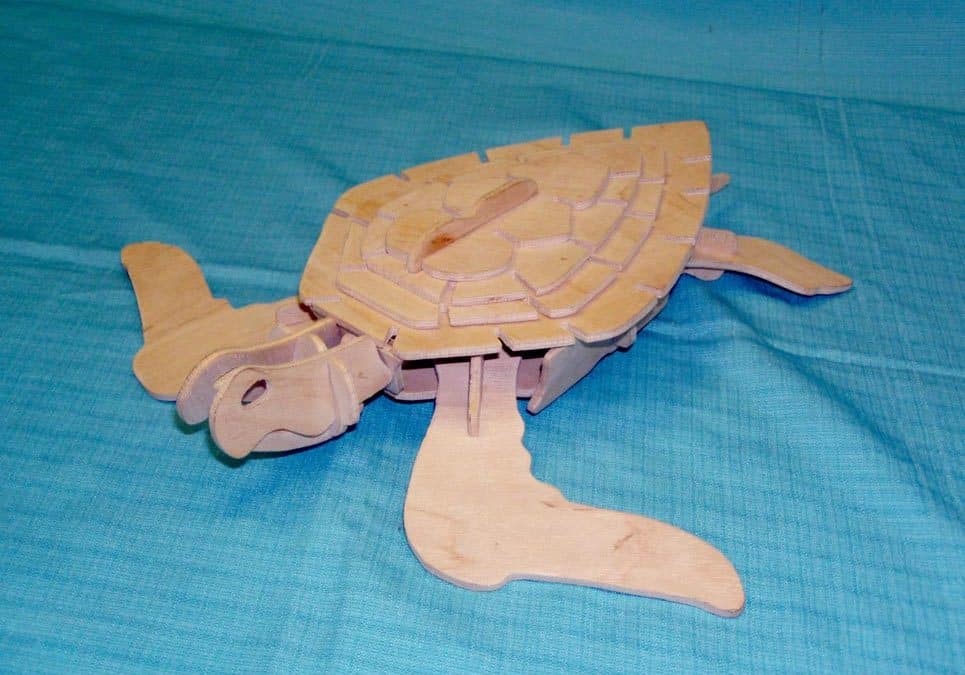 Rompecabezas tortuga