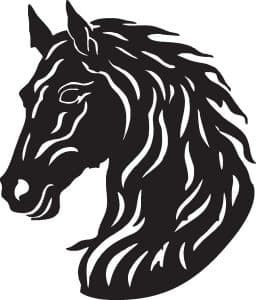 Cabeza de caballo