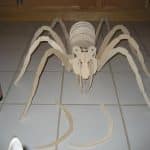 Araña 3D - Vector descarganle para corte CNC y grabado laser gratis | Stanser