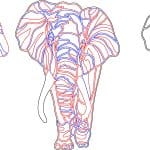 Te compartimos un vector descargable para reproducir unos elefantes de colores. Utiliza tu máquina de corte CNC para la realización de este proyecto.