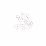 Cactus #1 - Vector descarganle para corte CNC y grabado laser gratis | Stanser