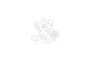 Cactus #1