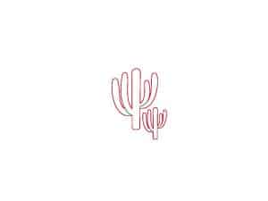 Cactus #2