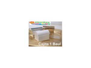 Caja de regalo 2