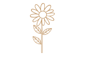 Flor 4