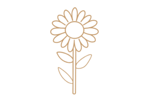 Flor 5