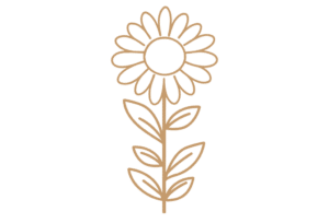 Flor 6
