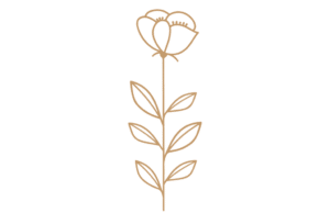 Flor 8