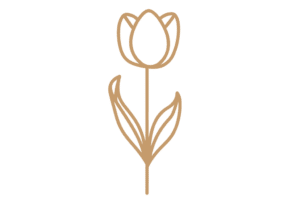Flor 9