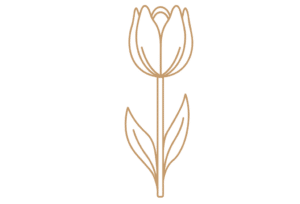 Flor 10