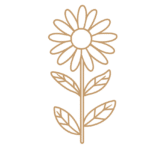 Flor 12 - Vector descarganle para corte CNC y grabado laser gratis | Stanser