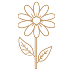 Flor 13 - Vector descarganle para corte CNC y grabado laser gratis | Stanser