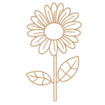 Flor 14 - Vector descarganle para corte CNC y grabado laser gratis | Stanser