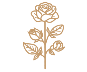 Flores 17