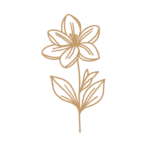 Flor 19 - Vector descarganle para corte CNC y grabado laser gratis | Stanser