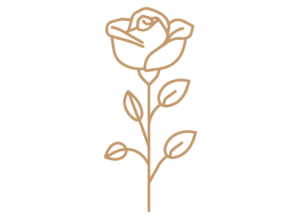 Flor 27