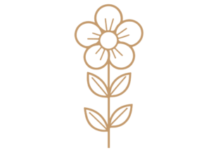 Flor 29