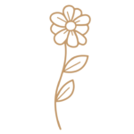 Flor 30 - Vector descarganle para corte CNC y grabado laser gratis | Stanser