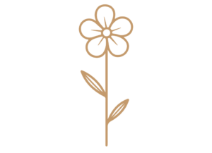 Flor 31